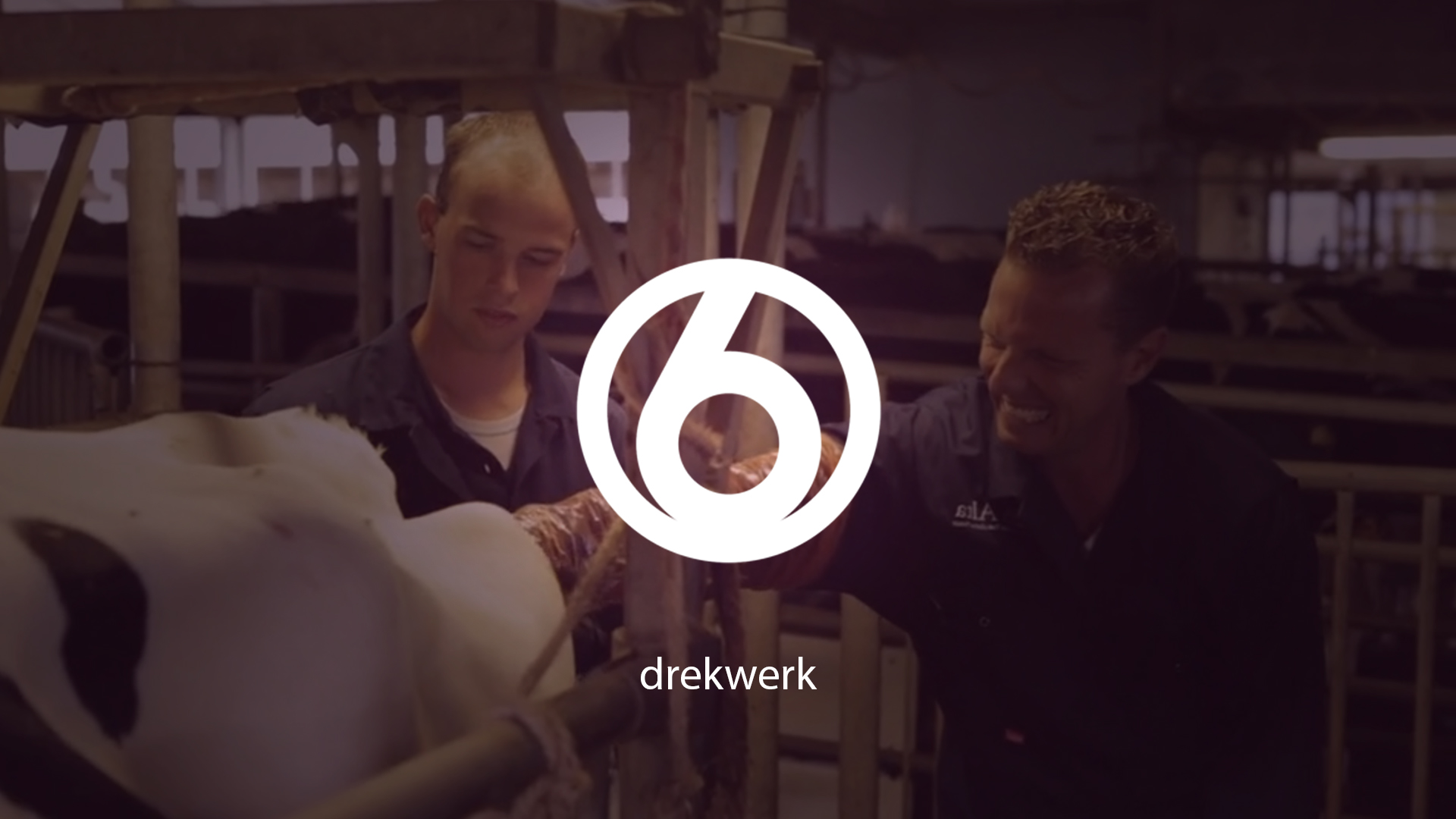 DREKWERK